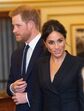 meghan markle, harry