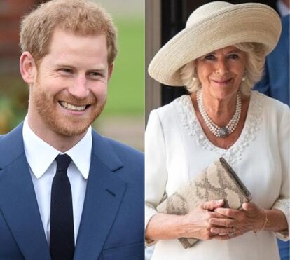'Lobo em pele de cordeio': o que a rainha Camilla diz sobre o príncipe Harry