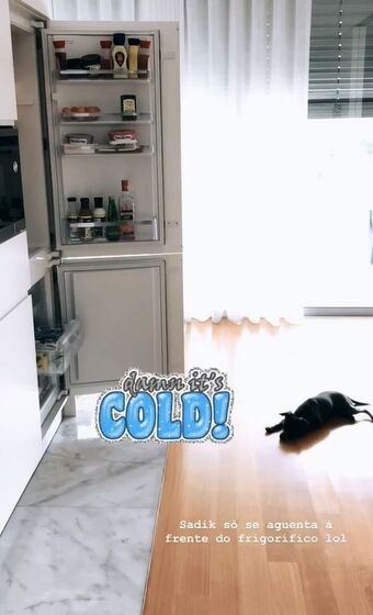 Vanessa Martins, Marco Costa