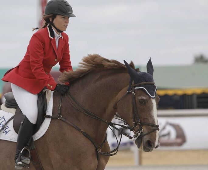 pedro queiroz pereira