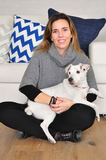 pedro queiroz pereira