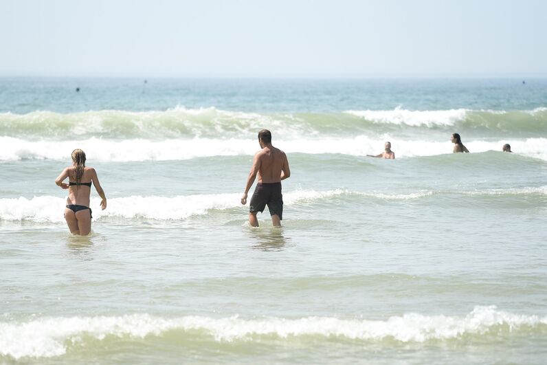 José Carlos Pereira