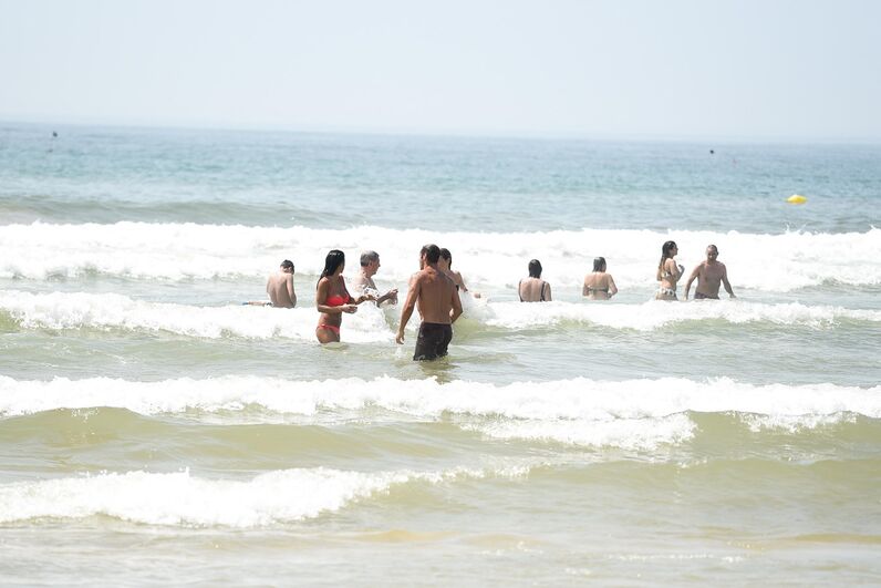 José Carlos Pereira