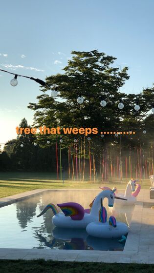 Stelle e Estere, madonna