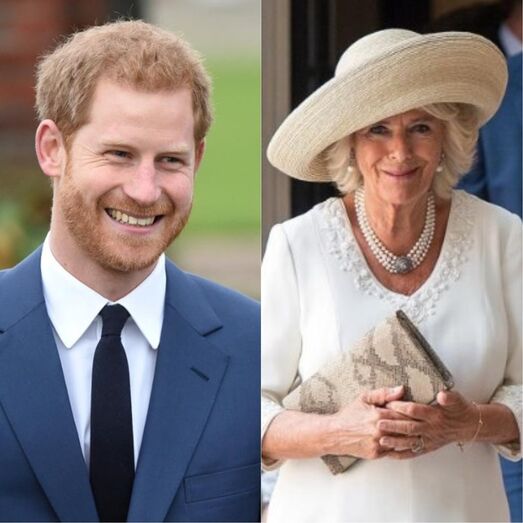 harry, principe harry, camilla, camilla e carlos, inglaterra, monarquia