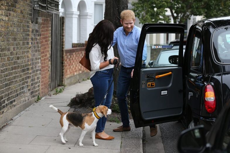 meghan, harry, máscaras
