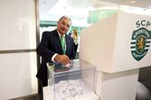 eleições sporting
