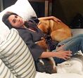 meghan markle, cão, cães