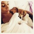 meghan markle, cão, cães