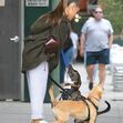 ariana grande