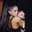 ariana grande