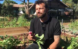 Maldição! Mais de metade dos restaurantes visitados por Ljubomir Stanisic estão fechados