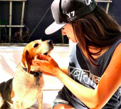 Das ruas do Kentucky... à família real britânica! Cão de Meghan é protagonista de novo livro infantil