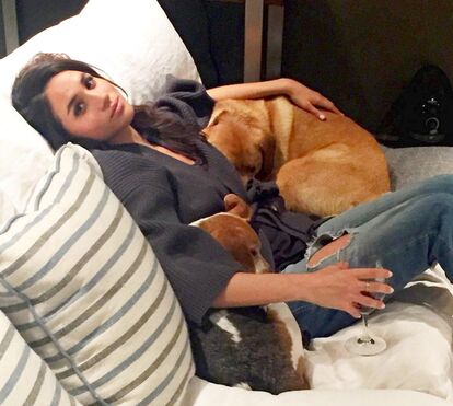 Meghan Markle e os seus cães