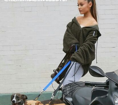 Que bondade! Ariana Grande decide adotar o cão do ex-namorado, Mac Miller , que morreu de overdose