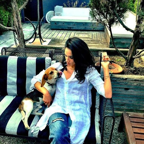 meghan markle, cão, cães