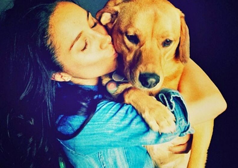 meghan markle, cão, cães