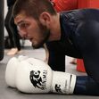 habib, lutador, russo, mma