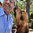 Manuel Luís Goucha, cão, goucha com animais