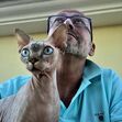 Manuel Luís Goucha, cão, goucha com animais