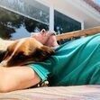 Manuel Luís Goucha, cão, goucha com animais