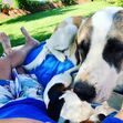 Manuel Luís Goucha, cão, goucha com animais
