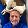 Manuel Luís Goucha, cão, goucha com animais