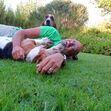 Manuel Luís Goucha, cão, goucha com animais