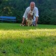 Manuel Luís Goucha, cão, goucha com animais