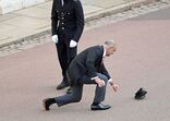 casamento princesa eugenie
