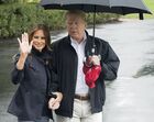 donald trump, melania