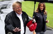 donald trump, melania