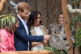 Meghan Markle, Príncipe Harry