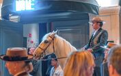 Baile da Jaqueta, golegã, tradição, traje, à antiga portuguesa, cavalos, feira de são martinho, ribatejo, mome, lisboa, capital, discoteca 