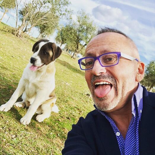 Manuel Luís Goucha, cão, goucha com animais