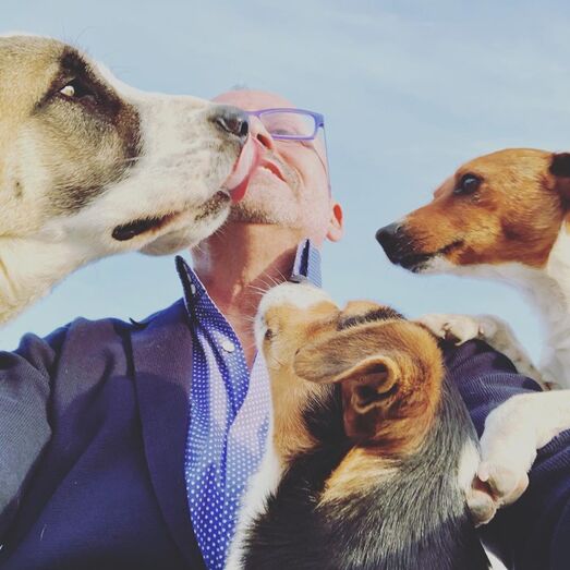 Manuel Luís Goucha, cão, goucha com animais