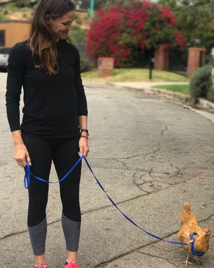 jennifer garner