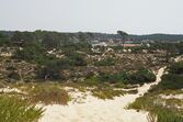 Herdade da Comporta