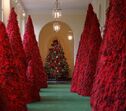 Melania Trump, Natal