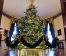 Melania Trump, Natal