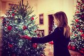Melania Trump, Natal