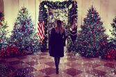 Melania Trump, Natal