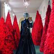 Melania Trump, Natal