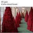 Melania Trump, Natal