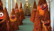 Melania Trump, Natal