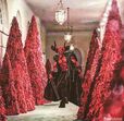 Melania Trump, Natal
