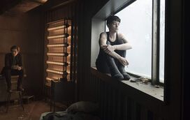 As estreias da semana