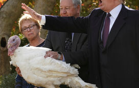 As gracinhas de Trump com a mulher... e com o perú do Natal 