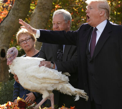 As gracinhas de Trump com a mulher... e com o perú do Natal 