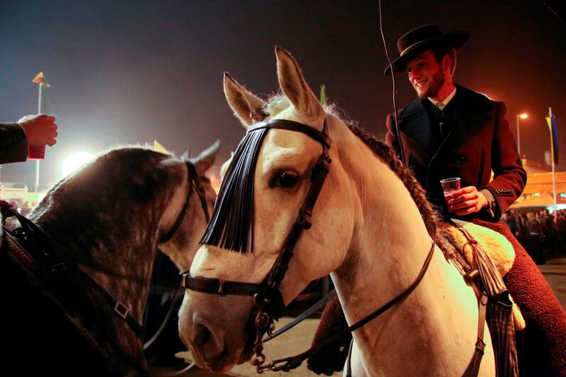 D. Duarte de Bragança, duarte Pio, Feira da Golegã, feira do cavalo, cavalo lusitano